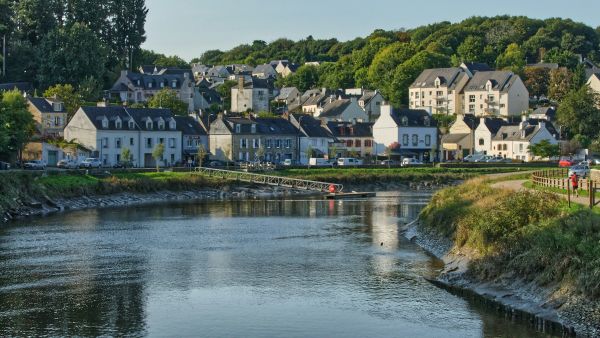 Les secrets fascinants du lac du der en champagne à explorer