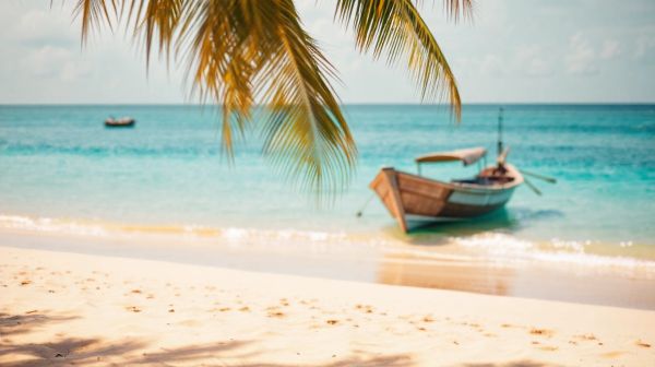 Top 10 expériences de voyage solidaire au Sri Lanka