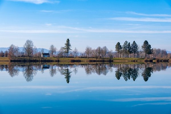 Découvrez les trésors cachés du lac du Der en Champagne